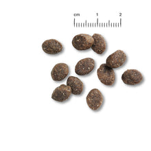 Load image into Gallery viewer, BELCANDO Junior Grain Free Poultry