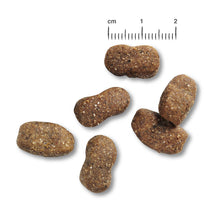 Load image into Gallery viewer, BELCANDO Adult Lamb & Rice