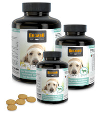 Load image into Gallery viewer, BELCANDO Fiber-Tabs