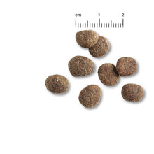 Load image into Gallery viewer, BELCANDO Finest Croc