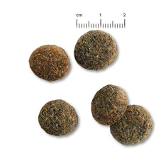 Load image into Gallery viewer, BELCANDO Senior Sensitive