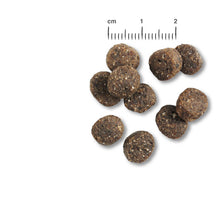 Load image into Gallery viewer, BELCANDO Adult GF Senior