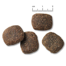 Load image into Gallery viewer, BELCANDO Adult GF Ocean