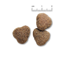 Load image into Gallery viewer, BELCANDO Adult GF Poultry