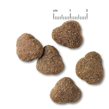 Load image into Gallery viewer, BELCANDO Junior Lamb and Rice