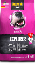 Load image into Gallery viewer, BELCANDO Baseline Explorer