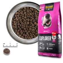 Load image into Gallery viewer, BELCANDO Baseline Explorer