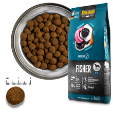 Load image into Gallery viewer, BELCANDO Baseline Fisher