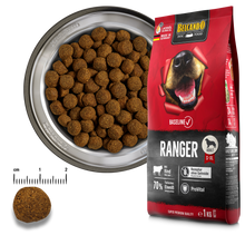 Load image into Gallery viewer, BELCANDO Baseline Ranger GF