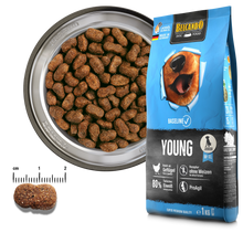 Load image into Gallery viewer, BELCANDO Baseline Young