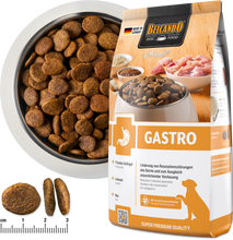 Load image into Gallery viewer, BELCANDO Vetline Gastro